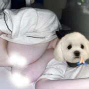 ヒメ日記 2025/06/16 03:43 投稿 なち 東京巨乳デリヘル おっぱいマート