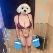 ヒメ日記 2025/07/06 07:30 投稿 なち 東京巨乳デリヘル おっぱいマート