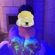 ヒメ日記 2025/10/05 23:21 投稿 なち 東京巨乳デリヘル おっぱいマート