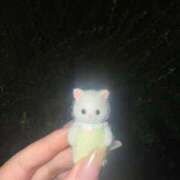 ヒメ日記 2025/10/20 20:34 投稿 なち 東京巨乳デリヘル おっぱいマート