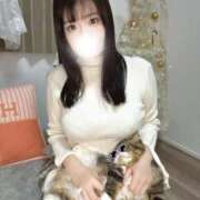 ヒメ日記 2025/11/15 23:54 投稿 なち 東京巨乳デリヘル おっぱいマート