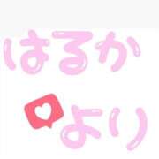 ヒメ日記 2025/06/17 15:16 投稿 はるか トリプルA