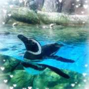 ヒメ日記 2025/06/25 22:46 投稿 はるか トリプルA