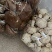 ヒメ日記 2025/08/22 16:20 投稿 うめ 熟女の風俗最終章 蒲田店