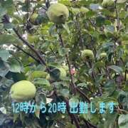 ヒメ日記 2025/09/03 08:20 投稿 うめ 熟女の風俗最終章 蒲田店