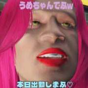 ヒメ日記 2025/11/01 10:40 投稿 うめ 熟女の風俗最終章 蒲田店