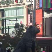 ヒメ日記 2025/11/11 01:40 投稿 うめ 熟女の風俗最終章 蒲田店