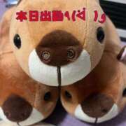 ヒメ日記 2025/12/10 07:40 投稿 うめ 熟女の風俗最終章 蒲田店