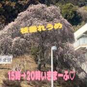 ヒメ日記 2026/02/18 09:20 投稿 うめ 熟女の風俗最終章 蒲田店