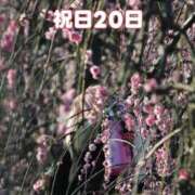 ヒメ日記 2026/03/09 10:30 投稿 うめ 熟女の風俗最終章 蒲田店