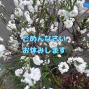 ヒメ日記 2026/04/01 09:01 投稿 うめ 熟女の風俗最終章 蒲田店