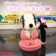 ヒメ日記 2025/12/31 20:12 投稿 こころ ハピネス福岡