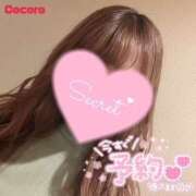 ヒメ日記 2026/01/01 09:42 投稿 こころ ハピネス福岡