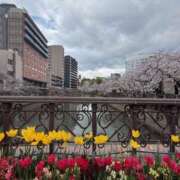 ヒメ日記 2026/04/04 18:32 投稿 こころ ハピネス福岡