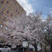 ヒメ日記 2026/04/05 18:42 投稿 こころ ハピネス福岡