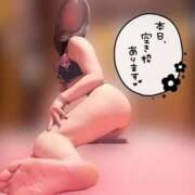 ヒメ日記 2026/07/29 12:12 投稿 こころ ハピネス福岡