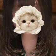 ヒメ日記 2025/08/03 18:04 投稿 はる 部活（ぶかつ）