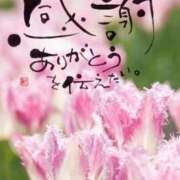 ヒメ日記 2025/06/14 07:34 投稿 けいこ 熟女の風俗最終章 新潟店