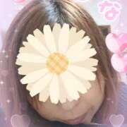 ヒメ日記 2025/12/20 21:54 投稿 ひな 明石の熟女達・女華