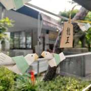 ヒメ日記 2025/06/15 06:30 投稿 五月あいり ハールブルク