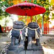 ヒメ日記 2025/07/25 06:00 投稿 五月あいり ハールブルク