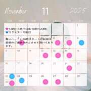 ヒメ日記 2025/11/09 08:00 投稿 五月あいり ハールブルク