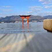 ヒメ日記 2025/12/18 12:01 投稿 五月あいり ハールブルク