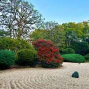 ヒメ日記 2026/01/07 06:00 投稿 五月あいり ハールブルク