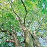 五月あいり 満喫して来ました ハールブルク