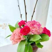 ヒメ日記 2026/03/16 08:10 投稿 五月あいり ハールブルク