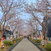 ヒメ日記 2026/03/31 12:04 投稿 五月あいり ハールブルク