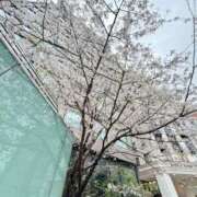 ヒメ日記 2026/04/01 23:19 投稿 五月あいり ハールブルク