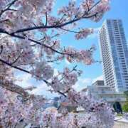 ヒメ日記 2026/04/06 23:34 投稿 五月あいり ハールブルク