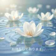 ヒメ日記 2025/08/16 12:31 投稿 伊藤つばき ミセスの癒しエステ