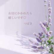 ヒメ日記 2025/09/17 08:00 投稿 伊藤つばき ミセスの癒しエステ