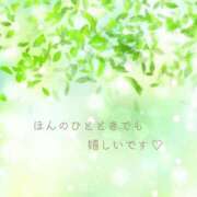 ヒメ日記 2025/09/18 08:00 投稿 伊藤つばき ミセスの癒しエステ