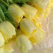 ヒメ日記 2025/09/28 21:00 投稿 伊藤つばき ミセスの癒しエステ