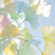 ヒメ日記 2025/10/05 08:00 投稿 伊藤つばき ミセスの癒しエステ