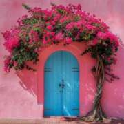 ヒメ日記 2025/11/14 08:30 投稿 伊藤つばき ミセスの癒しエステ