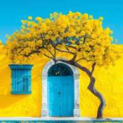 ヒメ日記 2025/11/14 08:35 投稿 伊藤つばき ミセスの癒しエステ