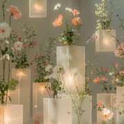 ヒメ日記 2025/11/19 08:00 投稿 伊藤つばき ミセスの癒しエステ