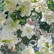 ヒメ日記 2025/12/09 08:00 投稿 伊藤つばき ミセスの癒しエステ