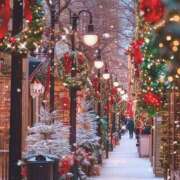 ヒメ日記 2025/12/11 08:00 投稿 伊藤つばき ミセスの癒しエステ