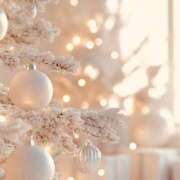 ヒメ日記 2025/12/15 08:00 投稿 伊藤つばき ミセスの癒しエステ