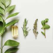 ヒメ日記 2025/12/20 08:05 投稿 伊藤つばき ミセスの癒しエステ