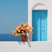 ヒメ日記 2025/12/23 08:20 投稿 伊藤つばき ミセスの癒しエステ