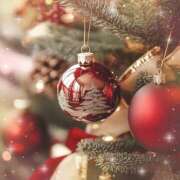 ヒメ日記 2025/12/24 08:00 投稿 伊藤つばき ミセスの癒しエステ