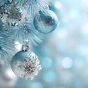 ヒメ日記 2025/12/27 08:00 投稿 伊藤つばき ミセスの癒しエステ