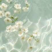 ヒメ日記 2026/01/11 08:00 投稿 伊藤つばき ミセスの癒しエステ