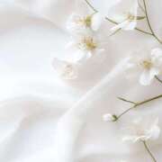 ヒメ日記 2026/01/14 08:01 投稿 伊藤つばき ミセスの癒しエステ